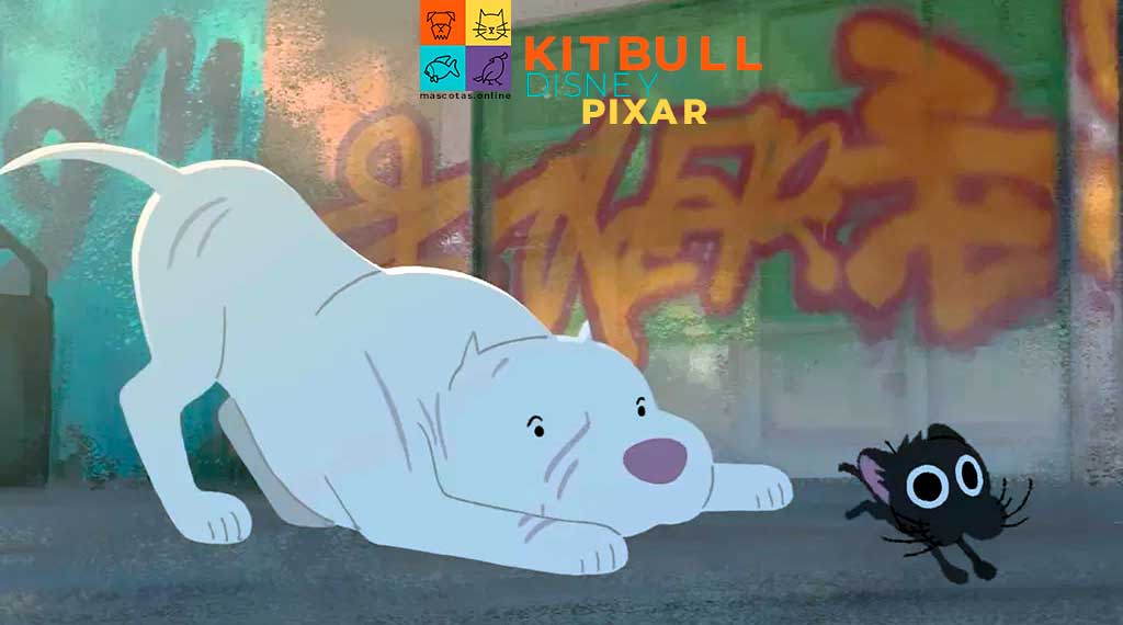 kitbull disney pixar