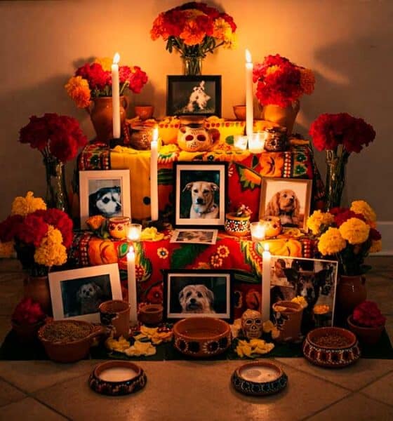 mascota el Día de Muertos 2024